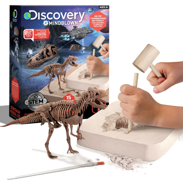 Discovery Dinosaur Skeleton T-Rex 3D Puzzle Excavation Kit/Educational Toy for Ages 6+ L1