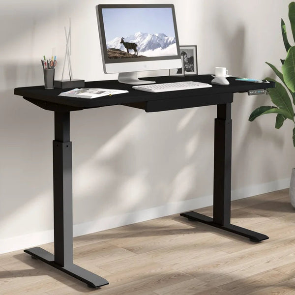 Motionwise 121.9 cm x 61 cm (48 in. x 24 in.) Height Adjustable Desk G7