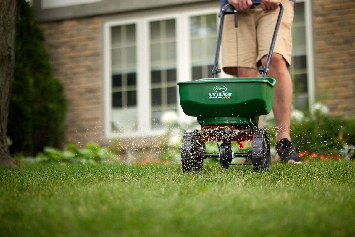 Scotts Lawn Essentials Sun & Shade Grass Seed Mix, Weed-Free, 1-kg